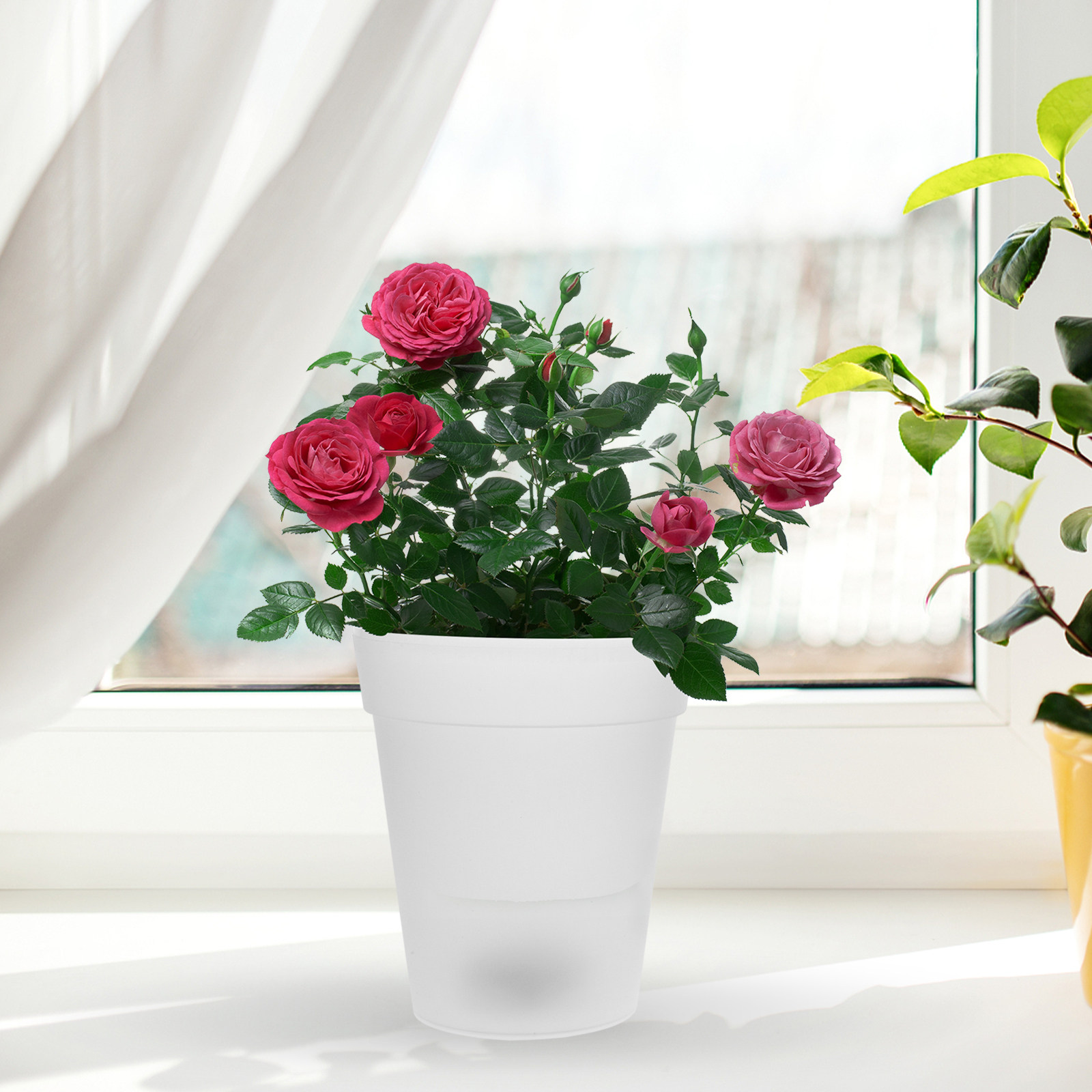 Flowerpot Solar Light Outdoor  - Christmas Lights Outdoor recensione e prezzo