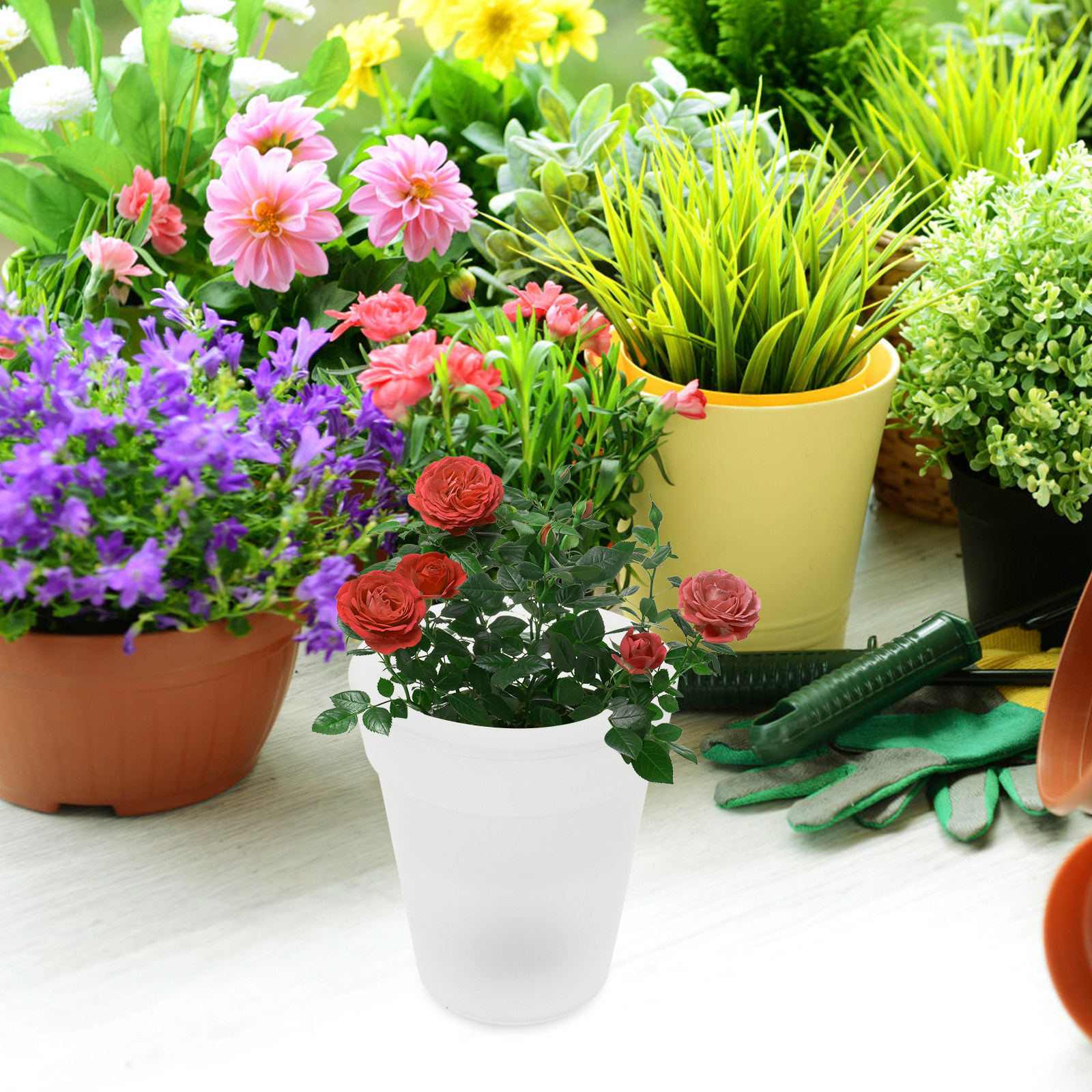 Flowerpot Solar Light Outdoor  - Christmas Lights Outdoor recensione e prezzo