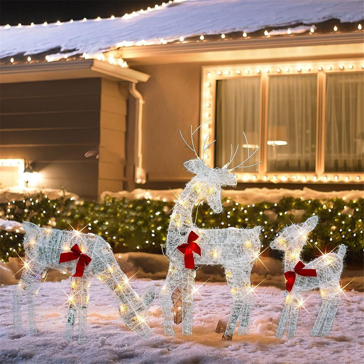 Christmas decorationLighted Ch - Christmas Lights Outdoor recensione e prezzo
